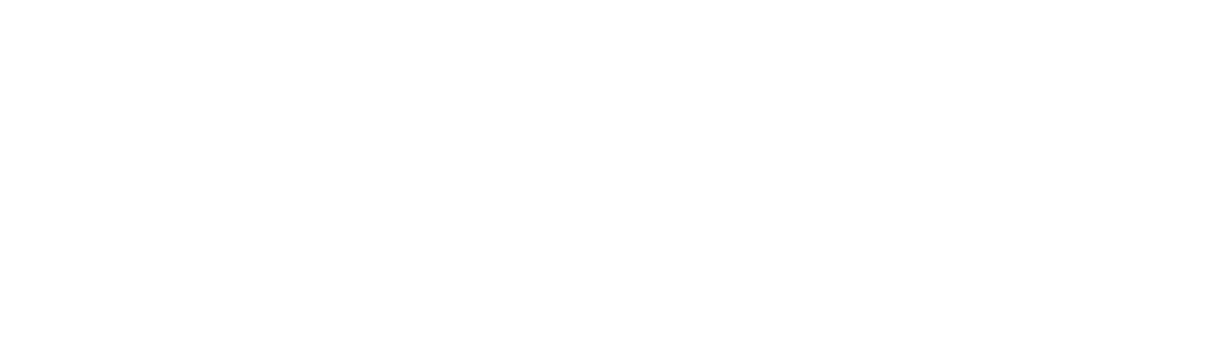 Wist Logo